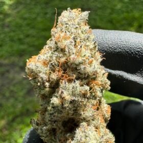 deep fried banana truffle