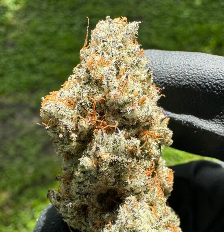 deep fried banana truffle