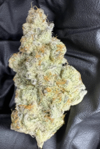 screen shot 2025 07 22 at 2.15.17 pm