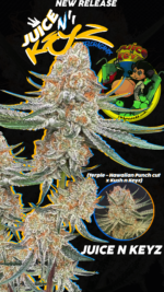 Juice 'N Keyz - Image 8