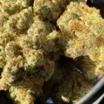 Aloha Breath - Image 7