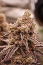 Space Fuel - Image 11