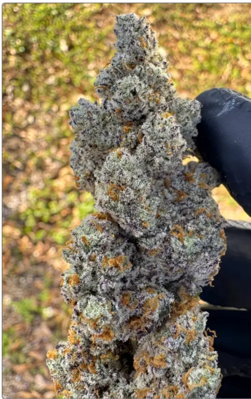 Screenshot 2026-02-14 at 2.14.58 PM