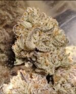 Aloha Breath - Johnny McPot Cut (AVAILABLE SOON!) - Image 4