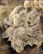 Aloha Breath - Johnny McPot Cut (AVAILABLE SOON!) - Image 5