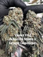 Violet Fog - MG cut (Khalifa Mintz x Grape Gasoline)